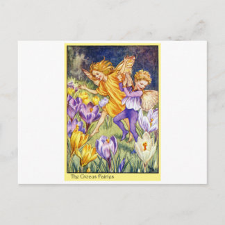 Crocus Fairy Vykort