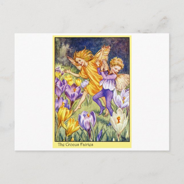 Crocus Fairy Vykort (Framsida)
