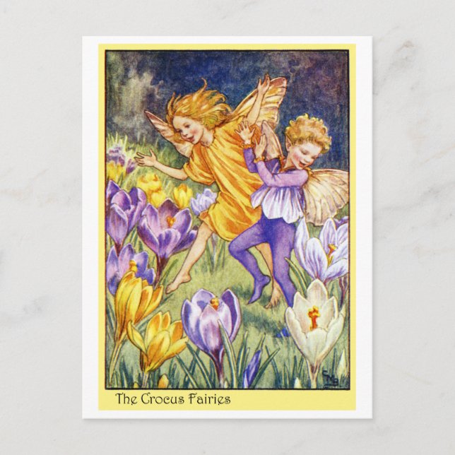 Crocus Fairy Vykort (Framsida)