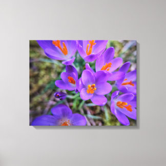 Crocus Fine Art Canvastryck
