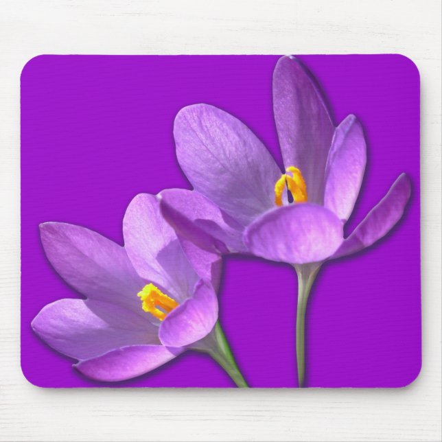 Crocus Flower Mousepad Lila/Blue Decor Gifts Musmatta (Framsidan)