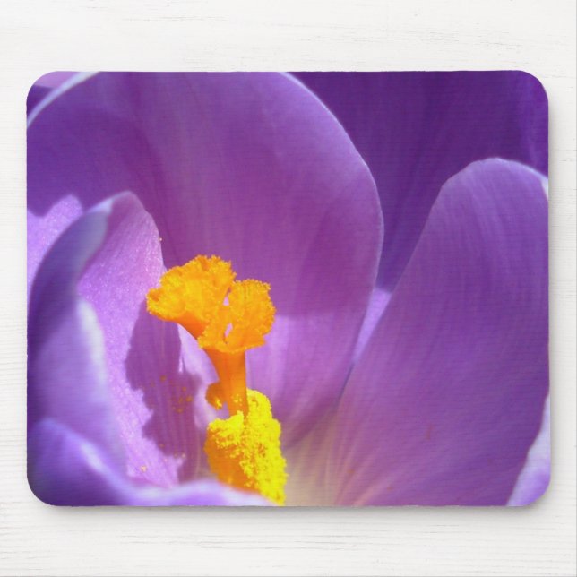 Crocus Flower Mousepad Lila/Blue Decor Gifts Musmatta (Framsidan)