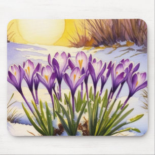 Crocus Flower Musmatta