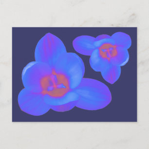 Crocus Flowers Hett och Kall Postcard Vykort