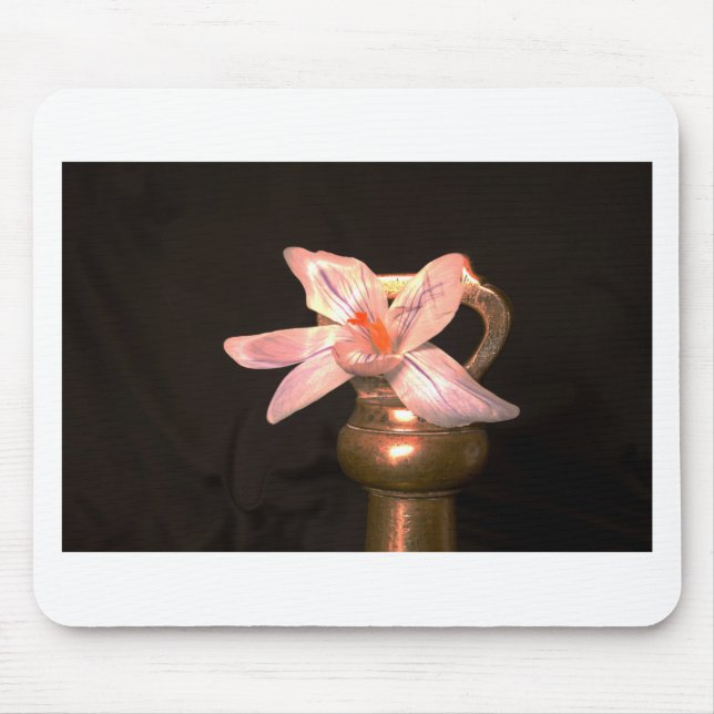 Crocus Flowers Musmatta (Framsidan)