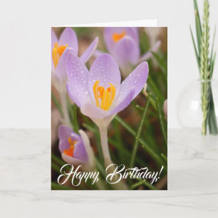 Crocus födelsedagsönskningar kort