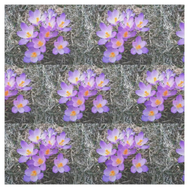 CROCUS FÖRSTA TECKEN PÅ VÅR TYG (Provkarta)