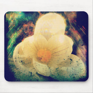 Crocus Grunge Musmatta