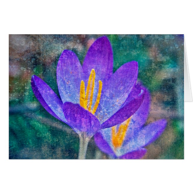 Crocus Hälsningskort (Framsidan Horizontal)