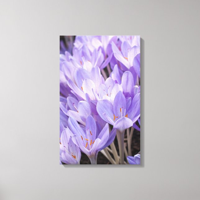 Crocus Inbjudet Canvastryck (Framsida)