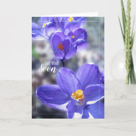 Crocus kommer bra snart Photo Kort