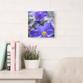 Crocus Lila blommor Photo Fyrkantig Klocka