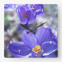 Crocus Lila blommor Photo