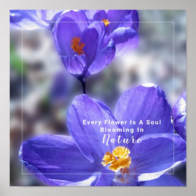 Crocus Lila Photo Quote Poster (Framsidan)