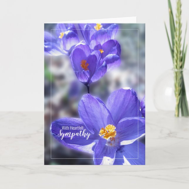Crocus med känselssympati foto kort (Framsida)