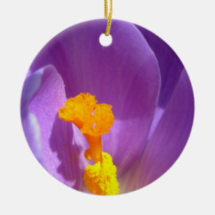 Crocus Ornament Lila blommor Dekoration