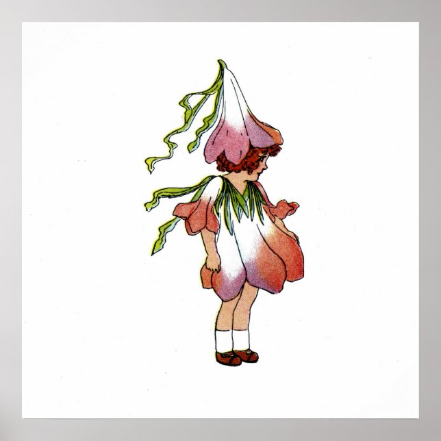 Crocus Poster (Framsidan)