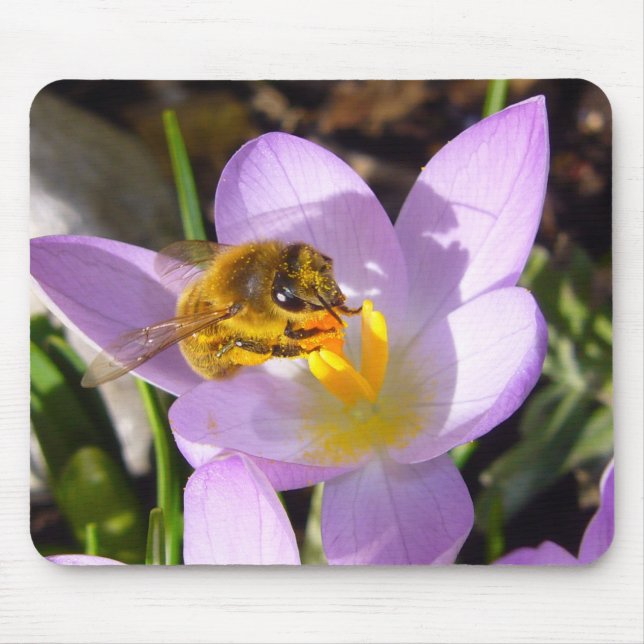 CROCUS TASTER # 2 ~ Mousepad Musmatta (Framsidan)