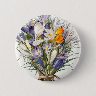Crocus Vår Flower Blommigt Art Knapp