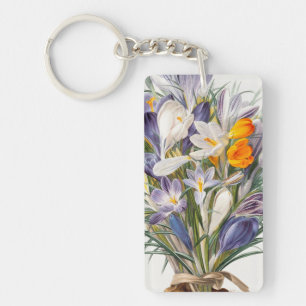 Crocus Vår Flower Botanical Blommigt Art
