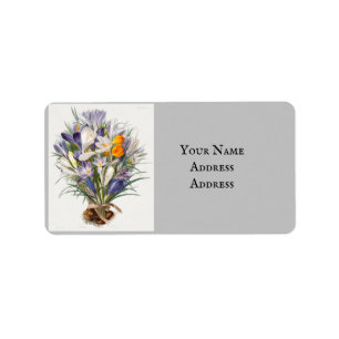 Crocus Vår Flower Botanical Blommigt Art Adressetikett