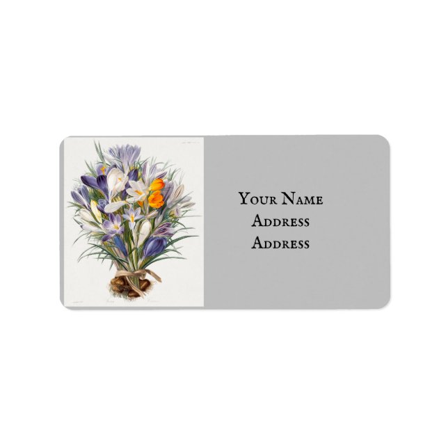 Crocus Vår Flower Botanical Blommigt Art Adressetikett (Framsidan)