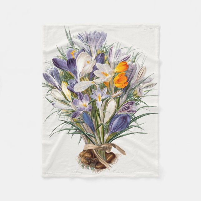 Crocus Vår Flower Botanical Blommigt Art Fleecefilt (Framsidan)
