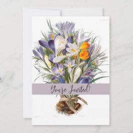 Crocus Vår Flower Botanical Blommigt Art Inbjudningar