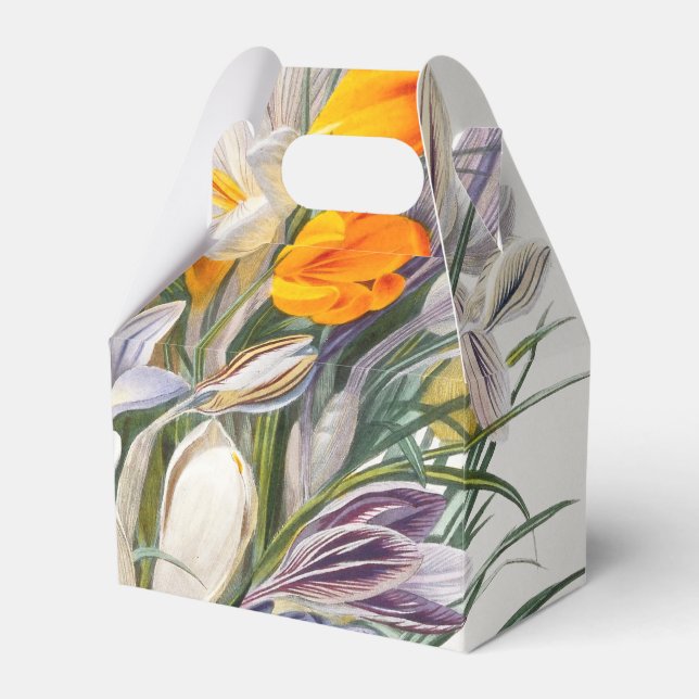 Crocus Vår Flower Botanical Blommigt Art Presentaskar (Framsidan Sidan)