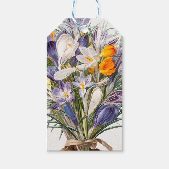 Crocus Vår Flower Botanical Blommigt Art Presentetikett (Framsidan)