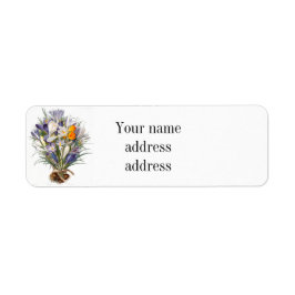 Crocus Vår Flower Botanical Blommigt Art Returadress Etikett