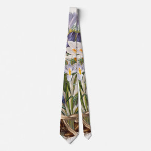 Crocus Vår Flower Botanical Blommigt Art Slips
