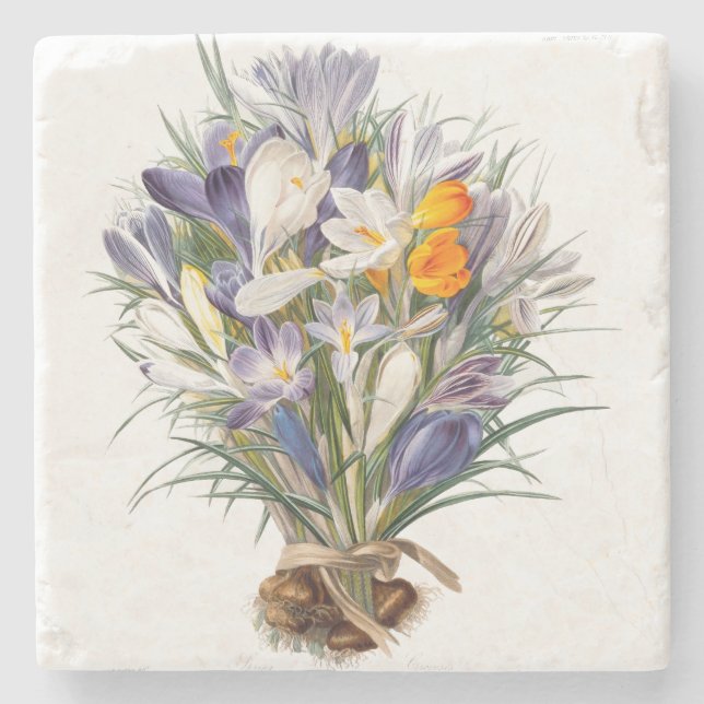 Crocus Vår Flower Botanical Blommigt Art Stenunderlägg (Framsidan)