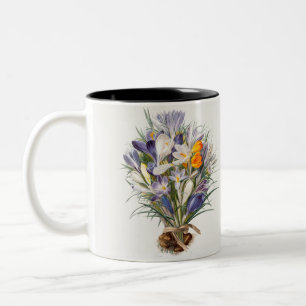 Crocus Vår Flower Botanical Blommigt Art Två-Tonad Mugg