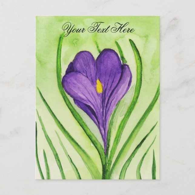 Crocus Vykort (Framsida)