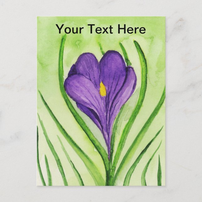 Crocus Vykort (Framsida)