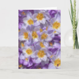 Crocus Watercolor Inbjudan