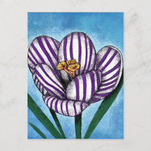 Crocus Will Preen vykort