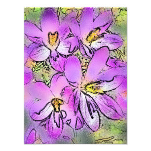 CROCUSES FOTOTRYCK