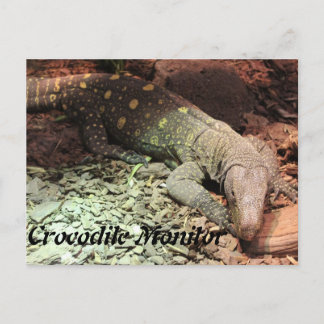 Crokodile Montior Vykort