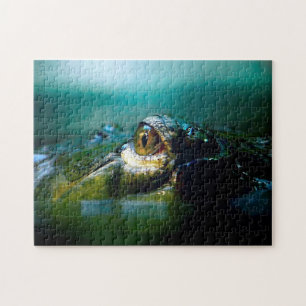 Crokodile Öga, Jigszawa Puzzle Pussel