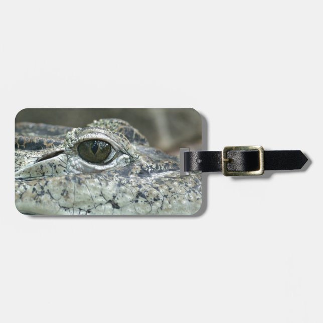 Crokodile Öga Luggage Tag Bagagebricka (Horisontell Framsida)