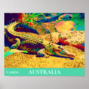 Crokodile reptile Tropical Queensland Australien Poster