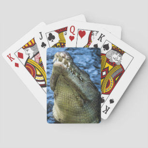 Crokodile Teeth Vatten Casinokort