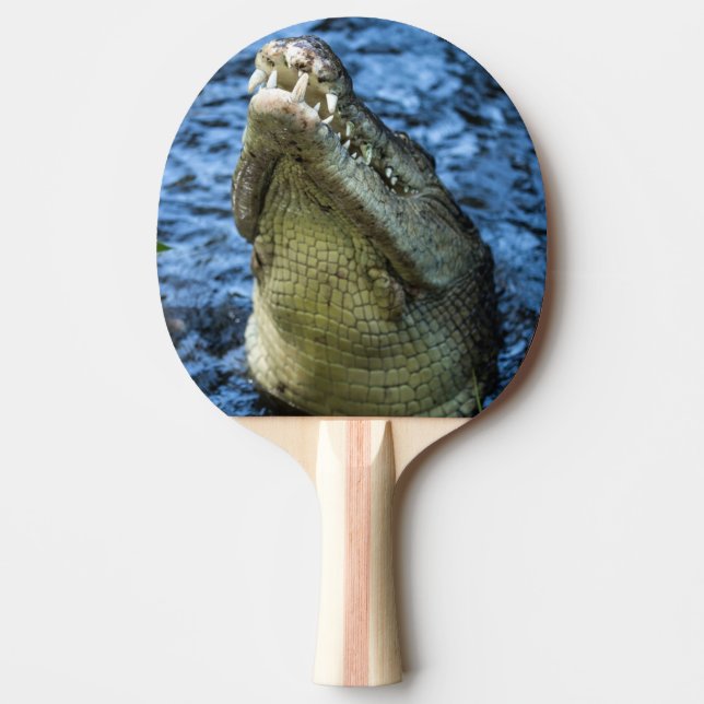 Crokodile Teeth Vatten Pingisracket (Framsidan)