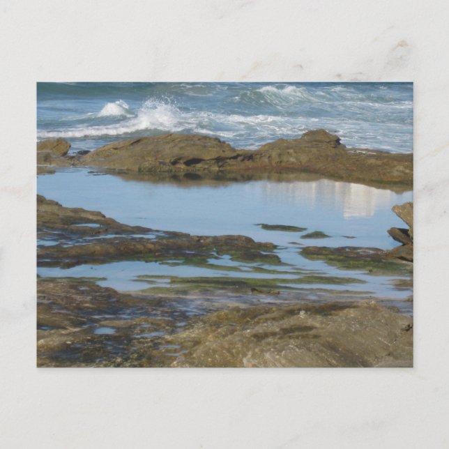 Cronulla Australien Ursprunglig Resefotografering Vykort (Framsida)