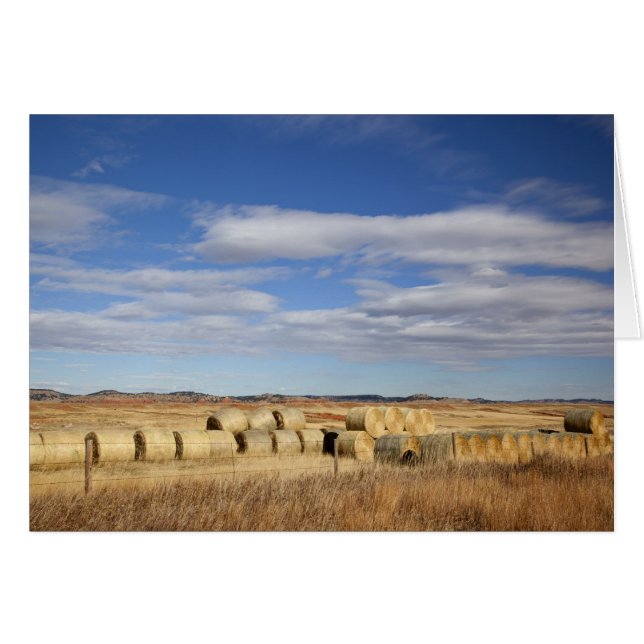 Crook County, Hay Bales Hälsningskort (Framsidan Horizontal)