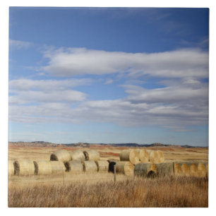 Crook County, höbalar Kakelplatta