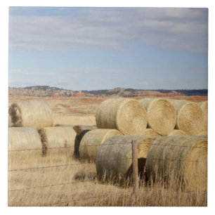 Crook County, höbalar Kakelplatta