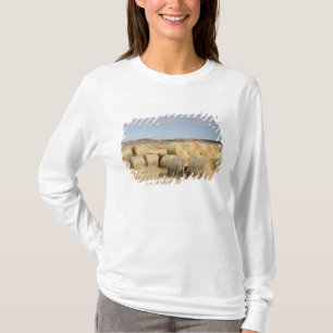 Crook County, höbalar T Shirt